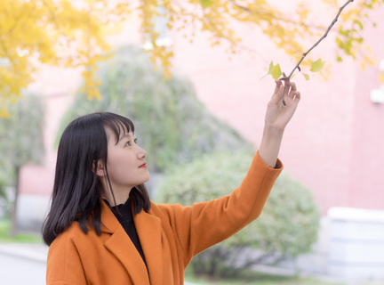 菲律宾永恒大学最新排名(永恒大学排名更新)